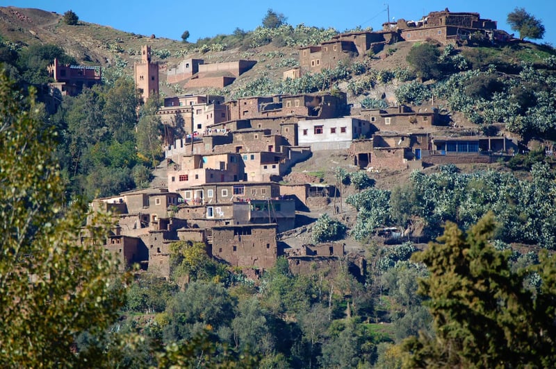 Marrakech and Imlil Atlas Mountains Day Walks, photo 3