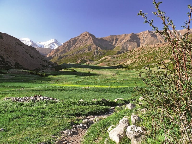 6-Day Mount M’Goun Summit Trek, photo 3
