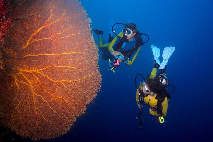 PADI Advanced Open Water in Sharm El Sheikh, photo 2