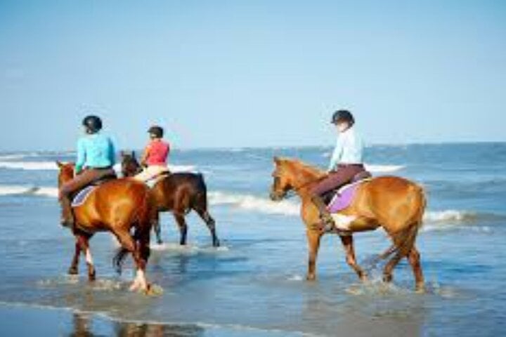 3-Hour Swim with Horses Experience in Hurghada, photo 5