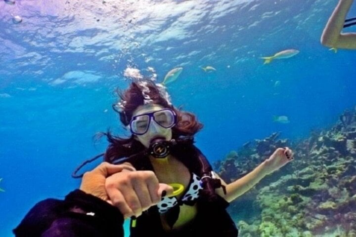 Beginner Scuba Boat Trip in Marsa Alam, photo 2