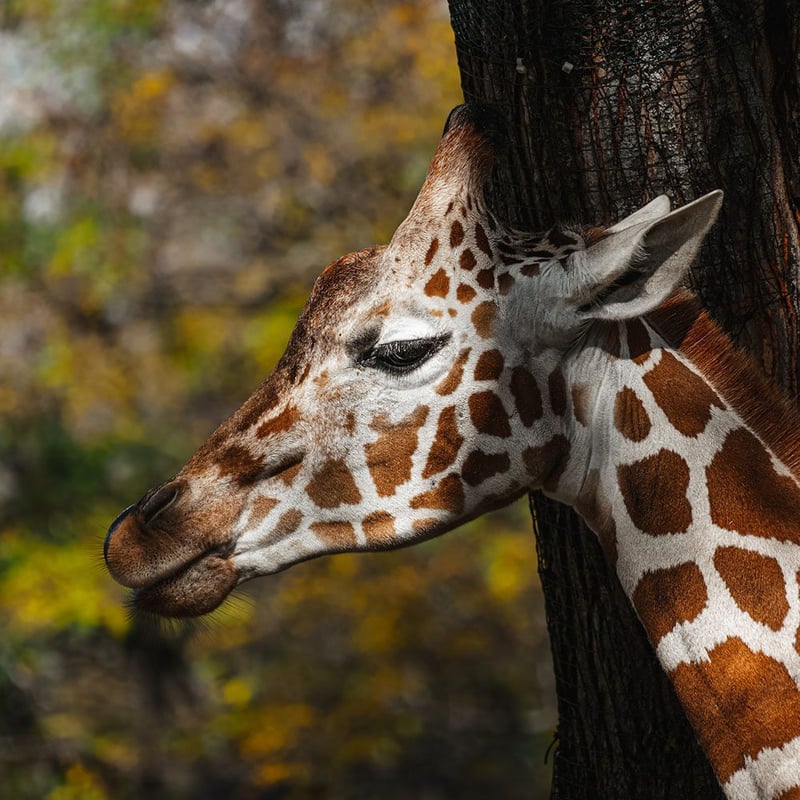 Arusha National Park Day Trip, photo 2