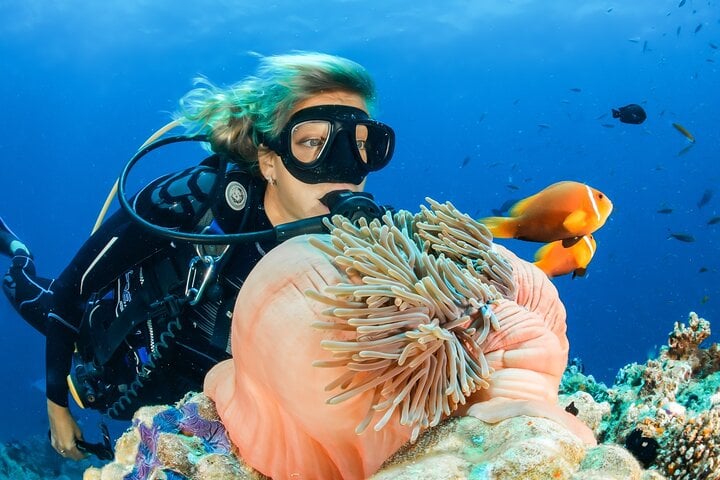 Discover Scuba Dive in Dubai, photo 2