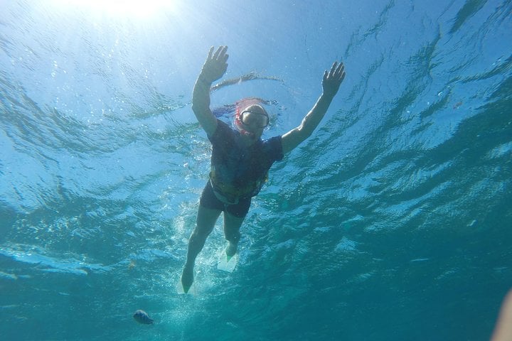 Dolphin House Snorkel with Drinks in Marsa Alam, photo 5
