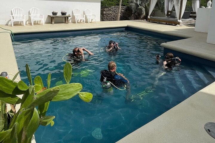 Try Scuba Diving Experience in Bonaire, photo 2