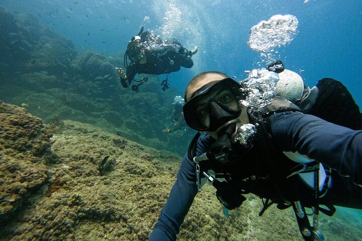 From Abu Dhabi: Two Certified Dives in Fujairah, photo 4