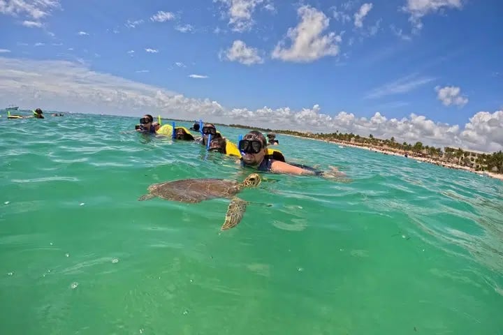 Turtle Snorkel in Akumal Bay, Riviera Maya, photo 5