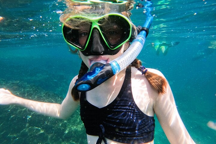 From Abu Dhabi: Snorkelling with Turtles and BBQ in Fujairah, photo 5