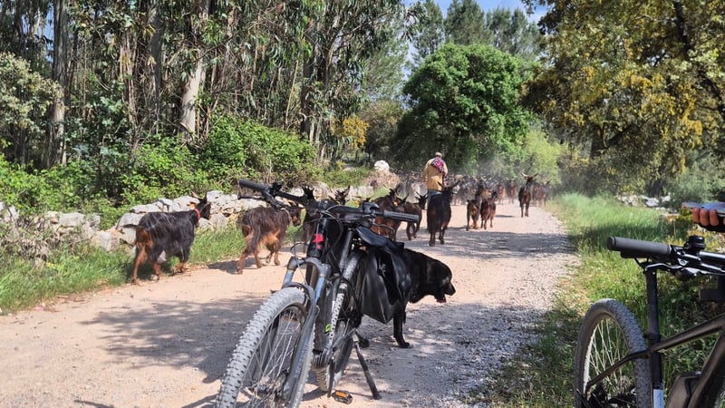 Private E-Bike Tour of Fátima and Mira de Aire Caves, photo 2