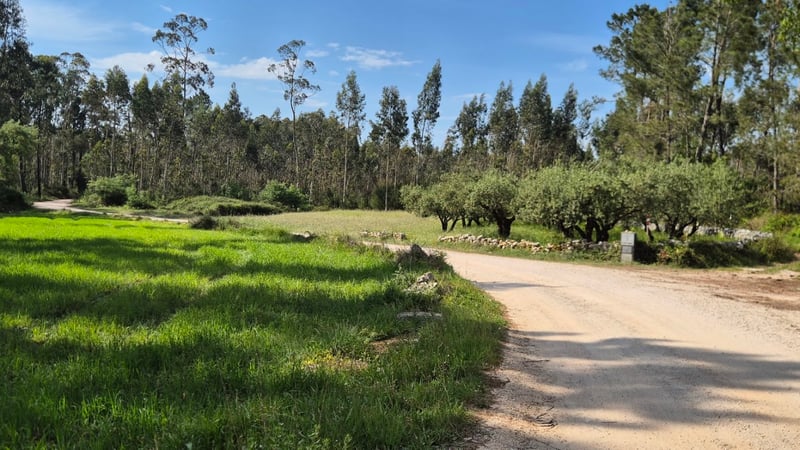 Private E-Bike Tour of Fátima and Mira de Aire Caves, photo 3