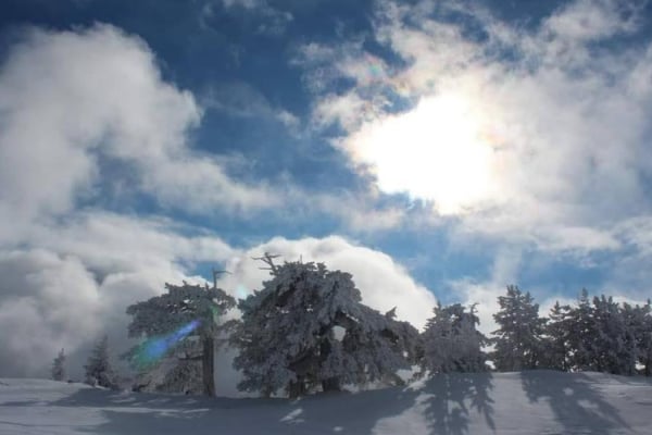 Snowshoeing in Pollino National Park, photo 4