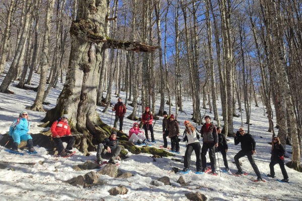 Snowshoeing in Pollino National Park, photo 2