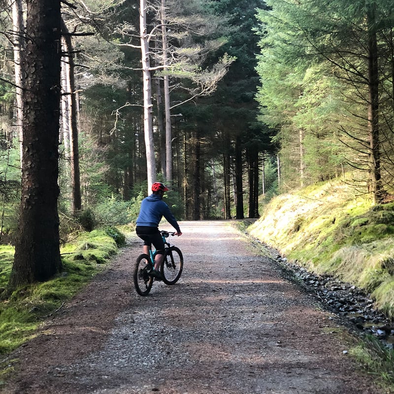 Guided Bike Tours in Callander, photo 5