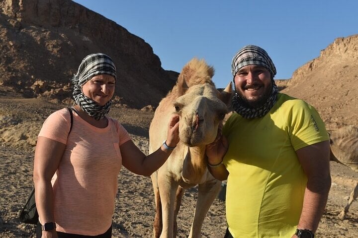 Quad and Camel Safari in Marsa Alam, photo 3