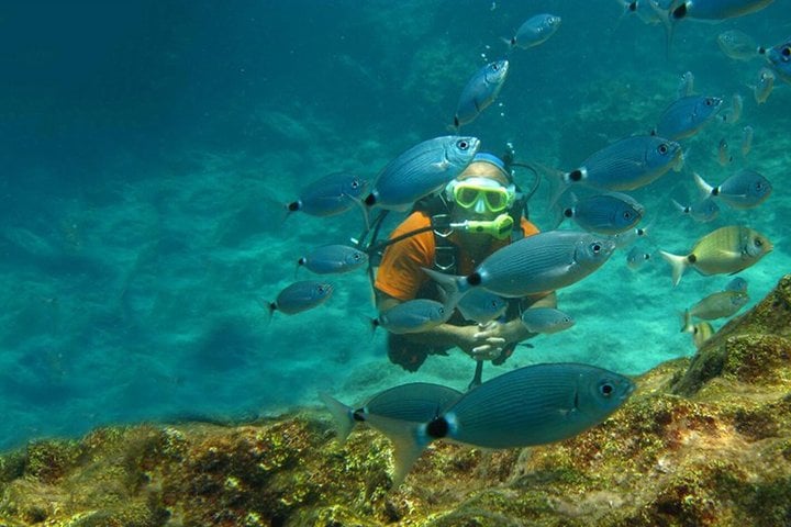 Scuba Diving Day from Side, photo 3