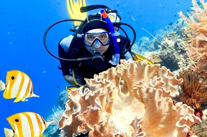 Ras Mohamed and White Island Diving in Sharm El Sheikh, photo 4