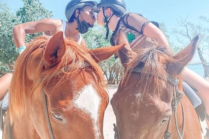 Private Horseback Riding Tour in Montego Bay, photo 4