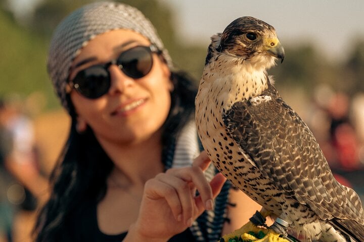 Half-Day Desert Safari with ATV or Buggy and Sandboarding in Dubai, photo 4