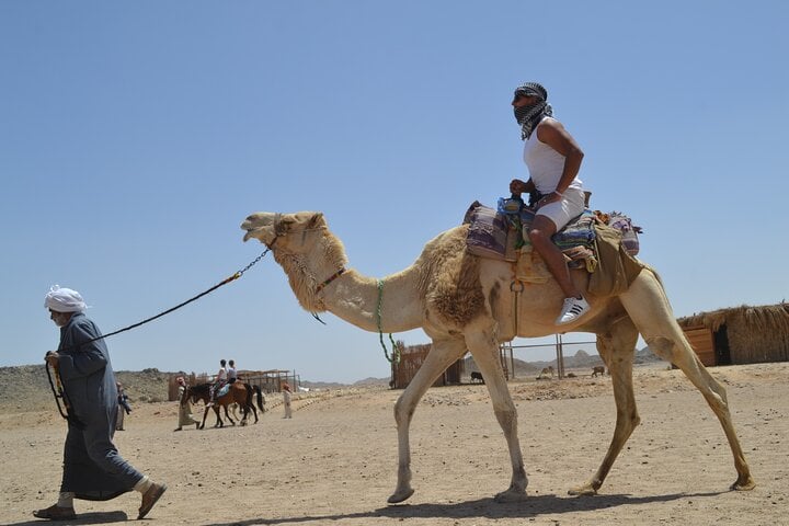 Super Quad Safari with Dinner and Camel in Sharm El Sheikh, photo 4