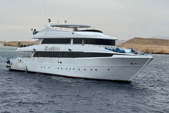 Dolphin House Snorkelling Adventure at Samadai Reef – Marsa Alam, photo 4