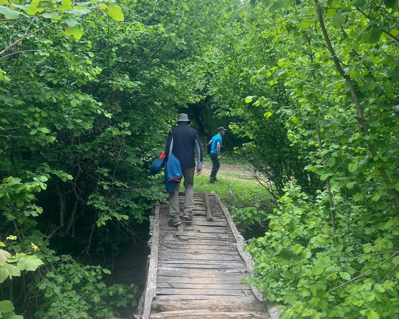 Valamara Glacial Lakes Hike in Korca, photo 5