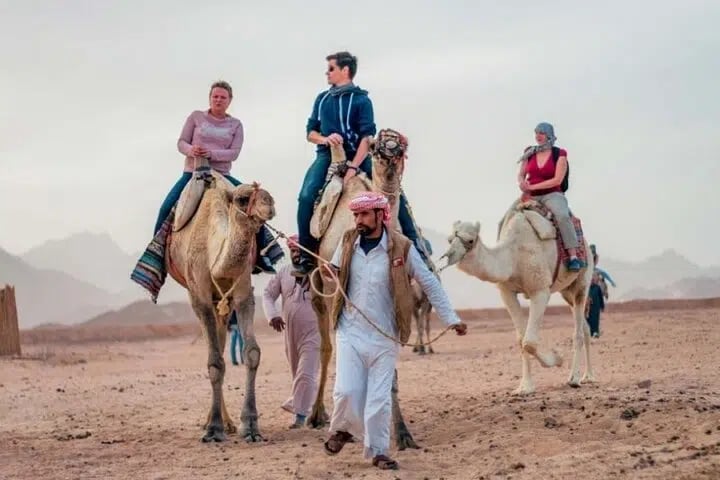 Spider Car Buggy Desert Adventure with Camel Ride from Marsa Alam, photo 2