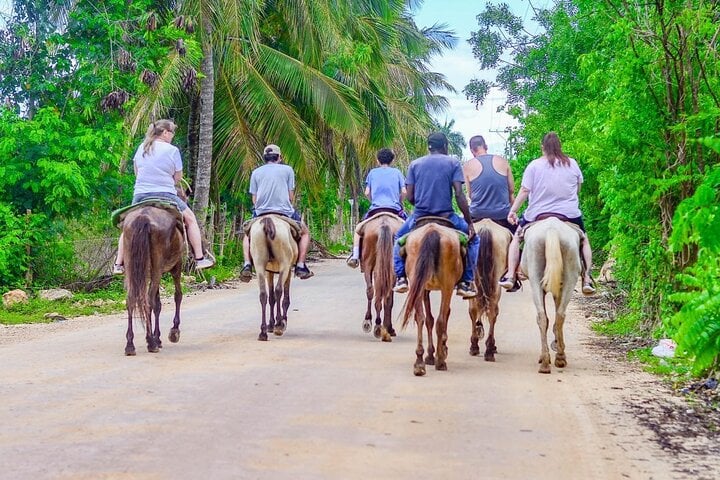 Horseback Ride in Punta Cana, photo 5