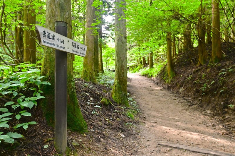 Nakasendo Trail Day Hike from Nagoya, photo 4