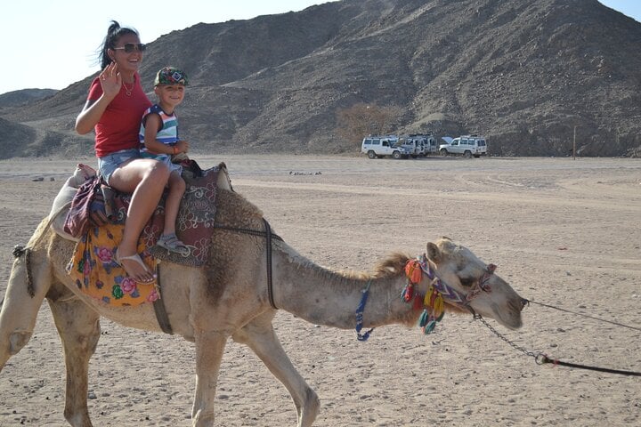 ATV and Camel Safari with Dinner in Marsa Alam, photo 3