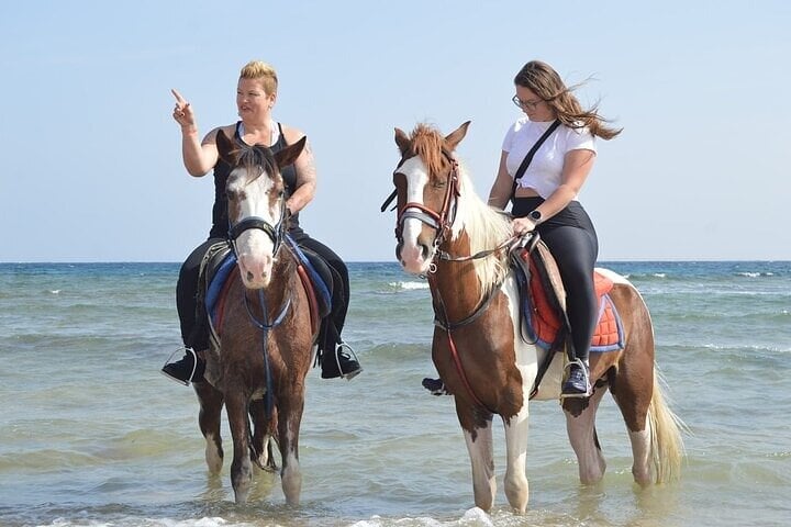 Sun and Sea Horse Ride in Hurghada, photo 4