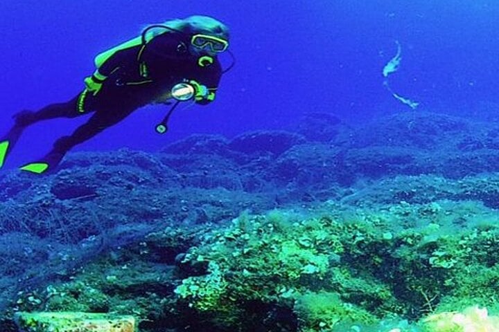 Scuba Diving Experience from Side, photo 4