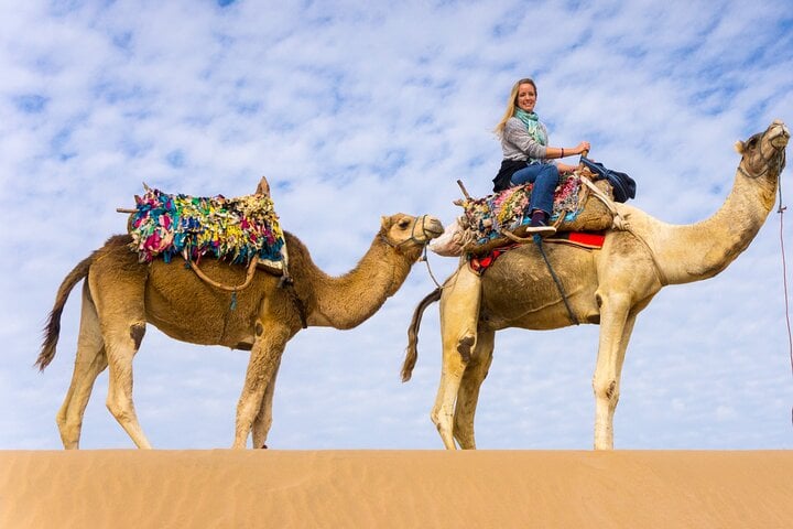 Family Buggy Dinner and Show in Hurghada, photo 4