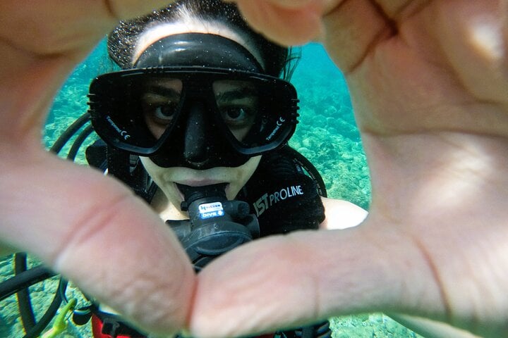 From Abu Dhabi: Try Diving and Snorkelling in Fujairah, photo 4