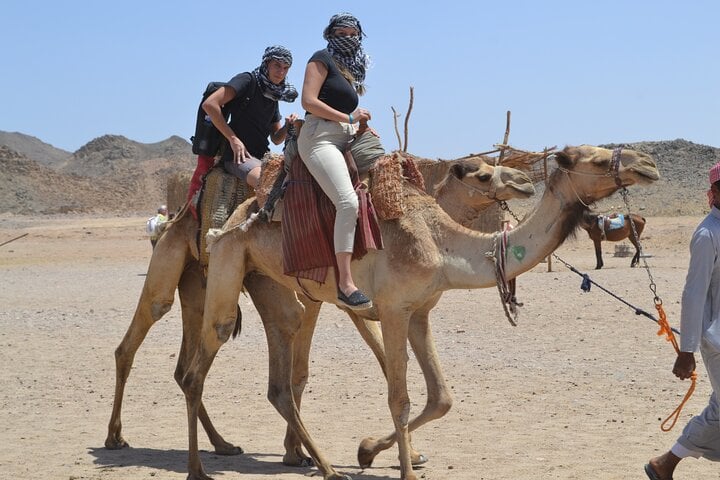 Super Quad Safari with Dinner and Camel in Sharm El Sheikh, photo 3