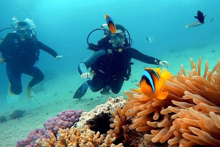 Hamata and Qulaan Islands Diving Day in Marsa Alam, photo 5