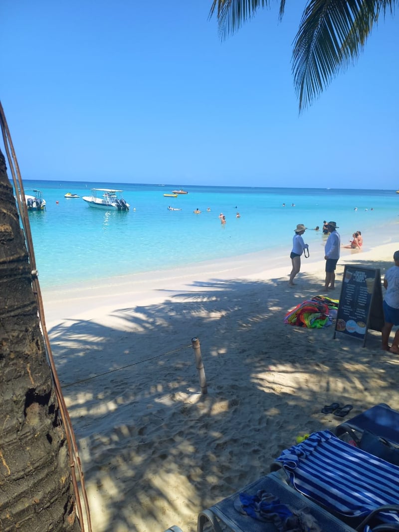 Zip and Dip with Sloths in Roatan, photo 5