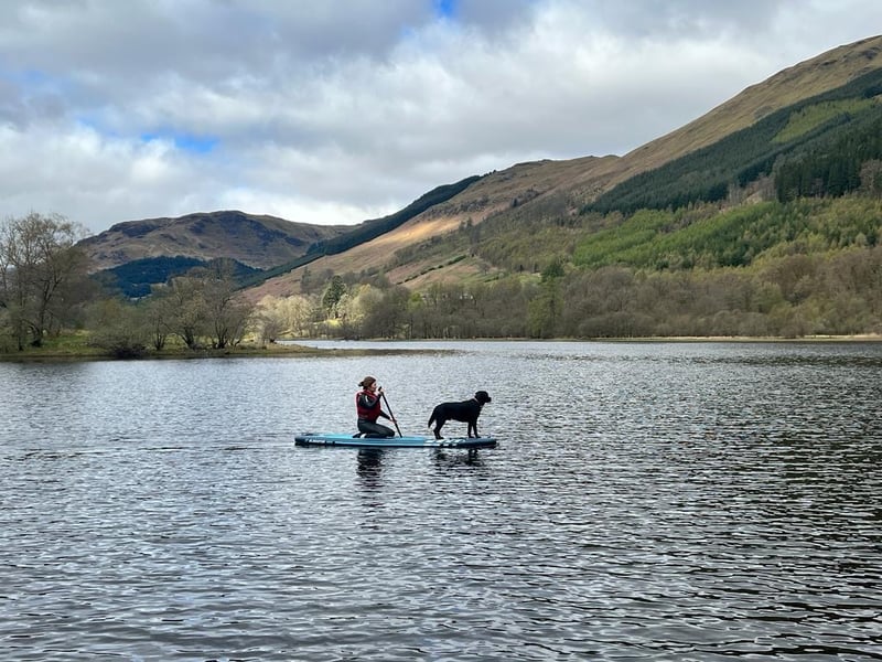 Guided Loch Tours in Callander, photo 3