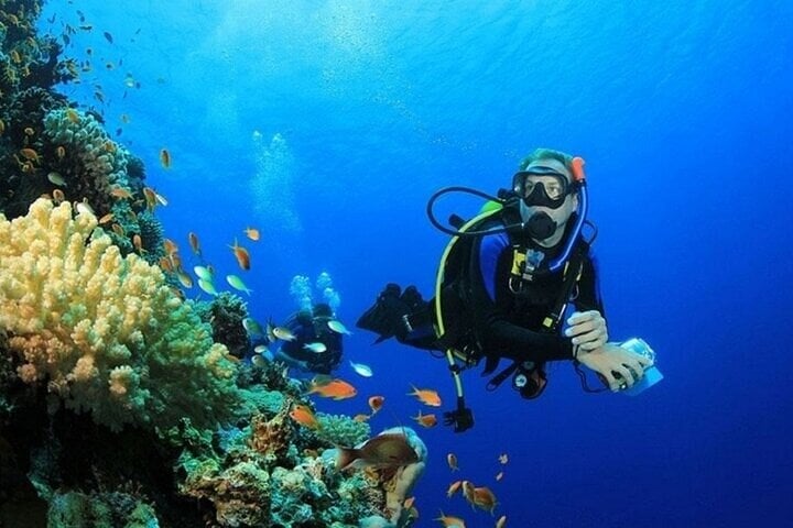 PADI Advanced Open Water in Marsa Alam, photo 2