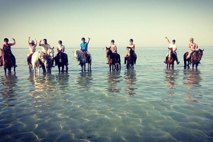 Horse Swim and Desert Ride in Hurghada, photo 5