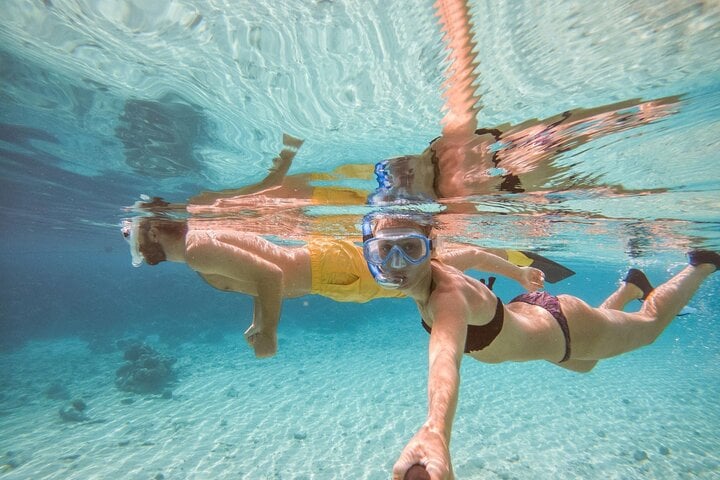 Private Speedboat Snorkel in Marsa Alam, photo 5