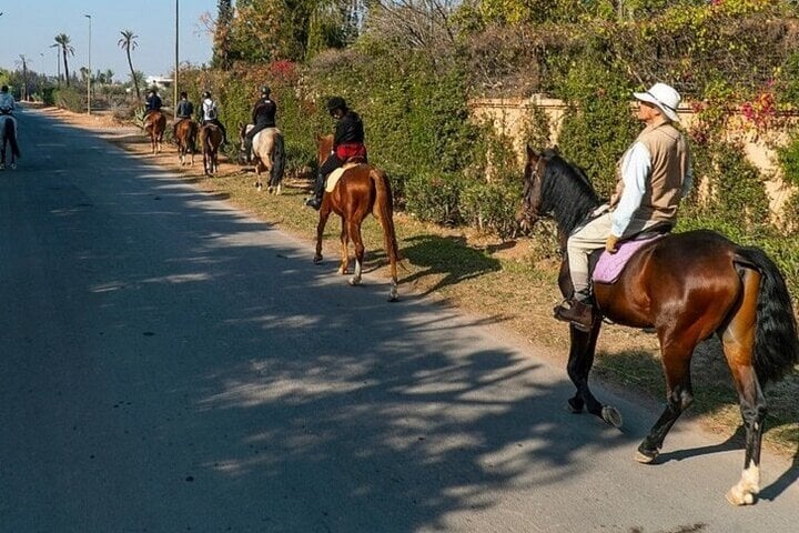 One Hour Horse Ride in the Palmeraie, photo 4