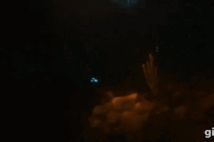 Bioluminescent Night Snorkelling in Bonaire, photo 5