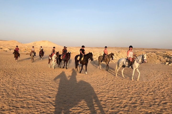 Horse Swim and Desert Ride in Hurghada, photo 4