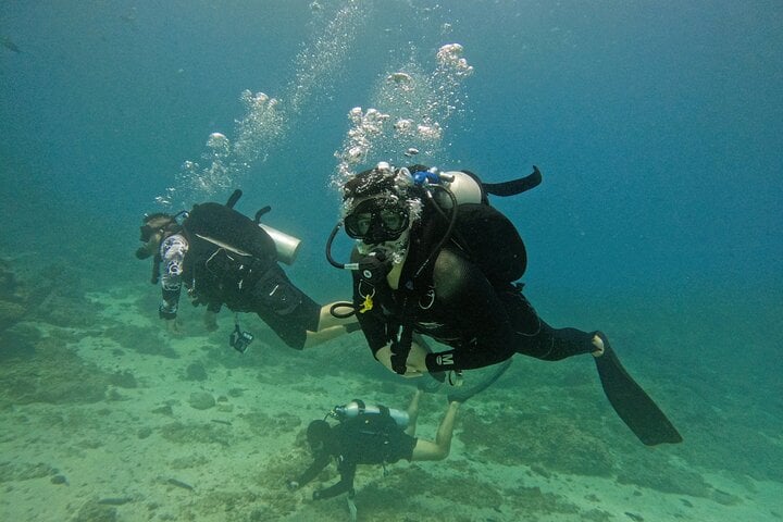 Two Certified Dives with Transfer in Fujairah, photo 5