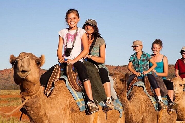 Family Buggy Dinner and Show in Hurghada, photo 3