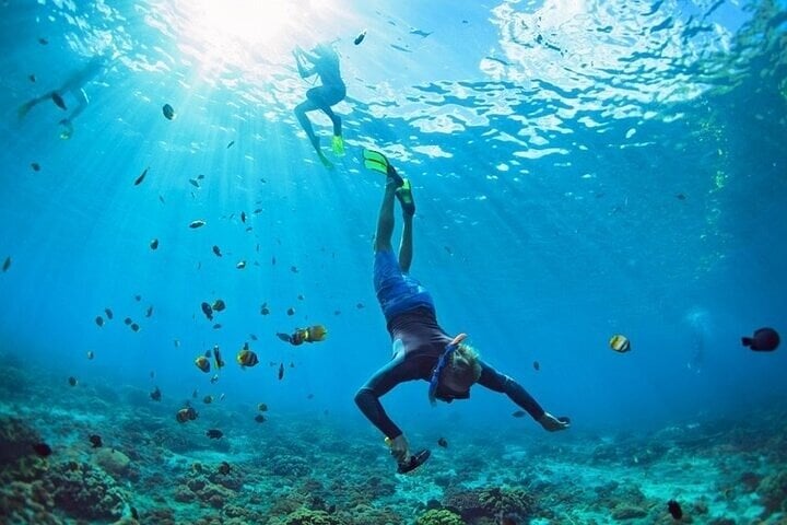 Coral Gardens Snorkel and Dive in Marsa Alam, photo 3