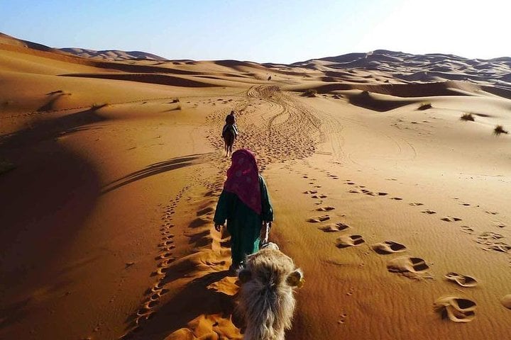 Sunset Quad and Camel Safari in Hurghada, photo 5