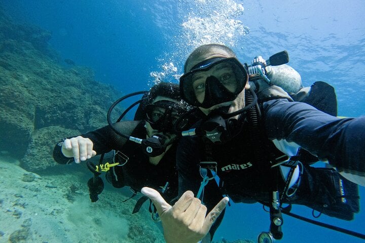 Two Boat Dives in Fujairah for Certified Divers, photo 5