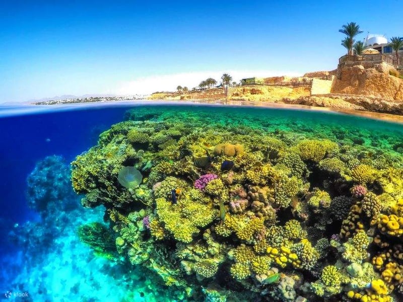 Sharm El Naga Snorkelling from Hurghada, photo 2