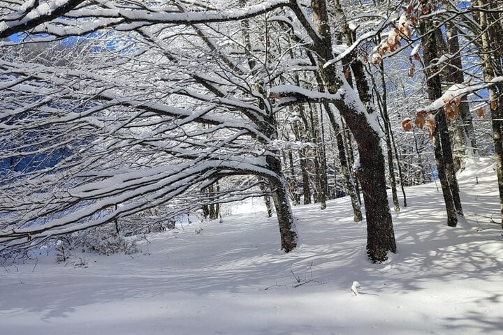 Snowshoeing in Monte Arioso, photo 4